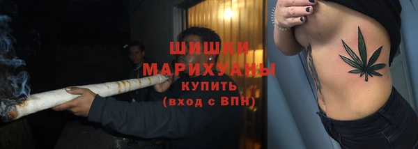 прущие крисы Балахна