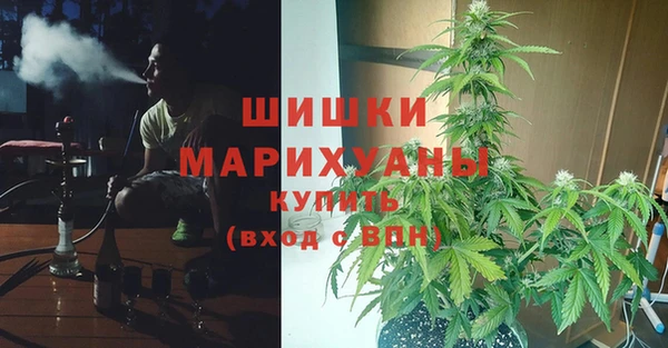 прущие крисы Балахна