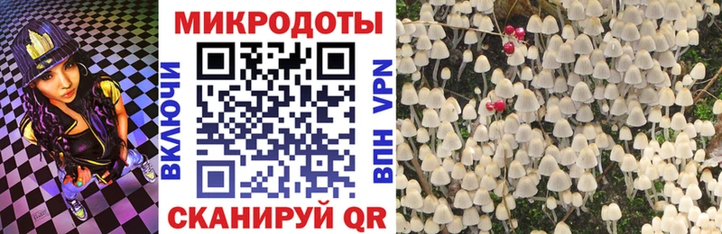 как найти наркотики  Голицыно  дарк нет официальный сайт  Псилоцибиновые грибы прущие грибы 